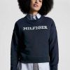 Donna Tommy Hilfiger | Felpa Hilfiger Monotype Con Logo Ricamato Donna Blu